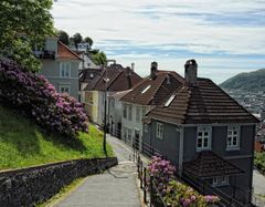 Bergen_2