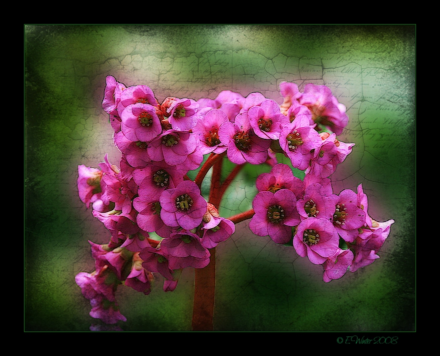 -BERGENIEN- Foto & Bild | fotomontage, composing ...