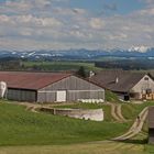 Berger Höhe - Blick zur Nagelfluhkette Westallgäu