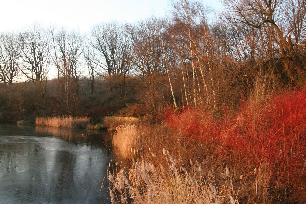 Berger See, Gelsenkirchen