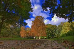 Berger-See - Gelsenkirchen - Herbststimmung