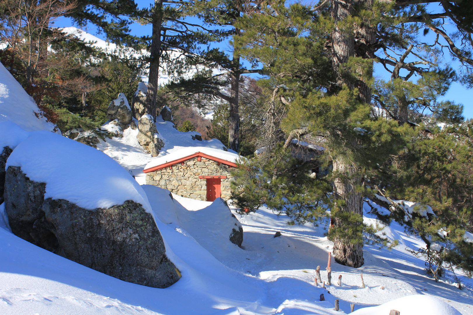 Bergeries de Cardu-Corse