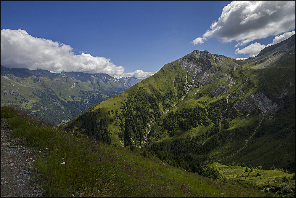 Bergerkogel