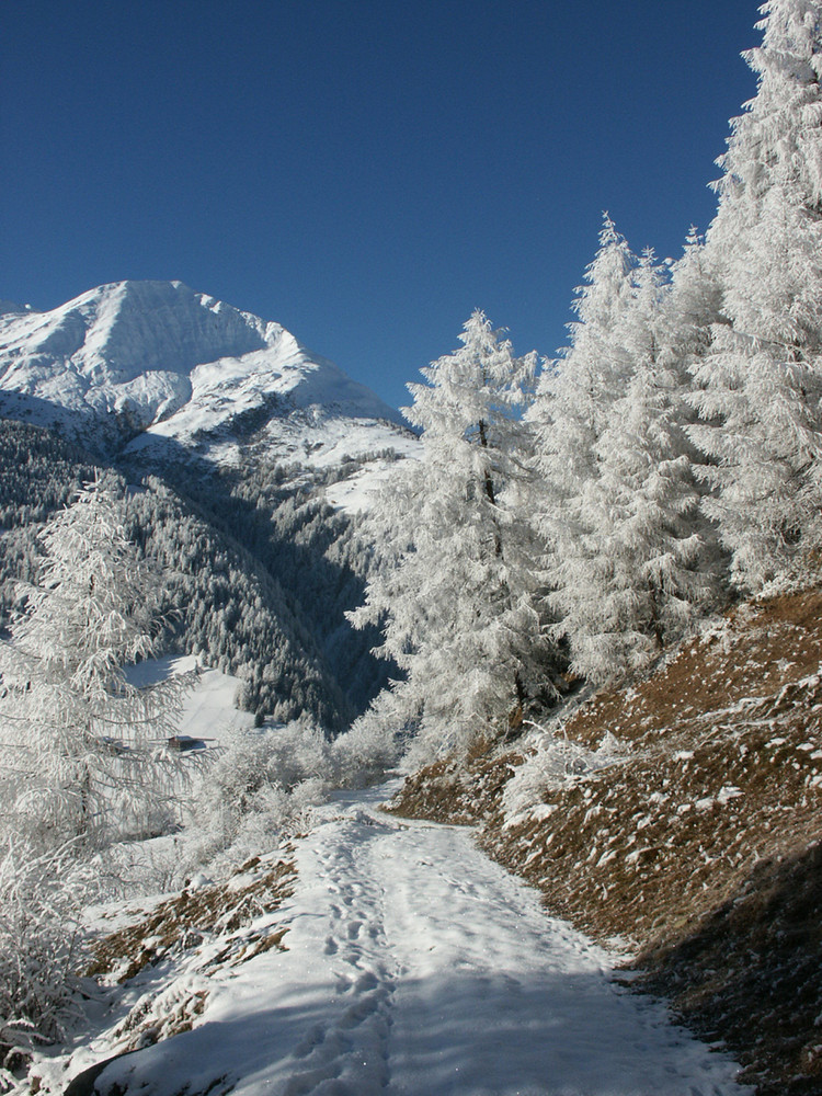 Bergerkogel