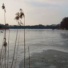 Bergersee Winter 2012 Februar