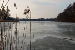 Bergersee Winter 2012 Februar