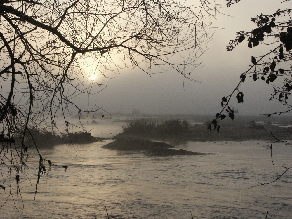 BERGES D ALLIER