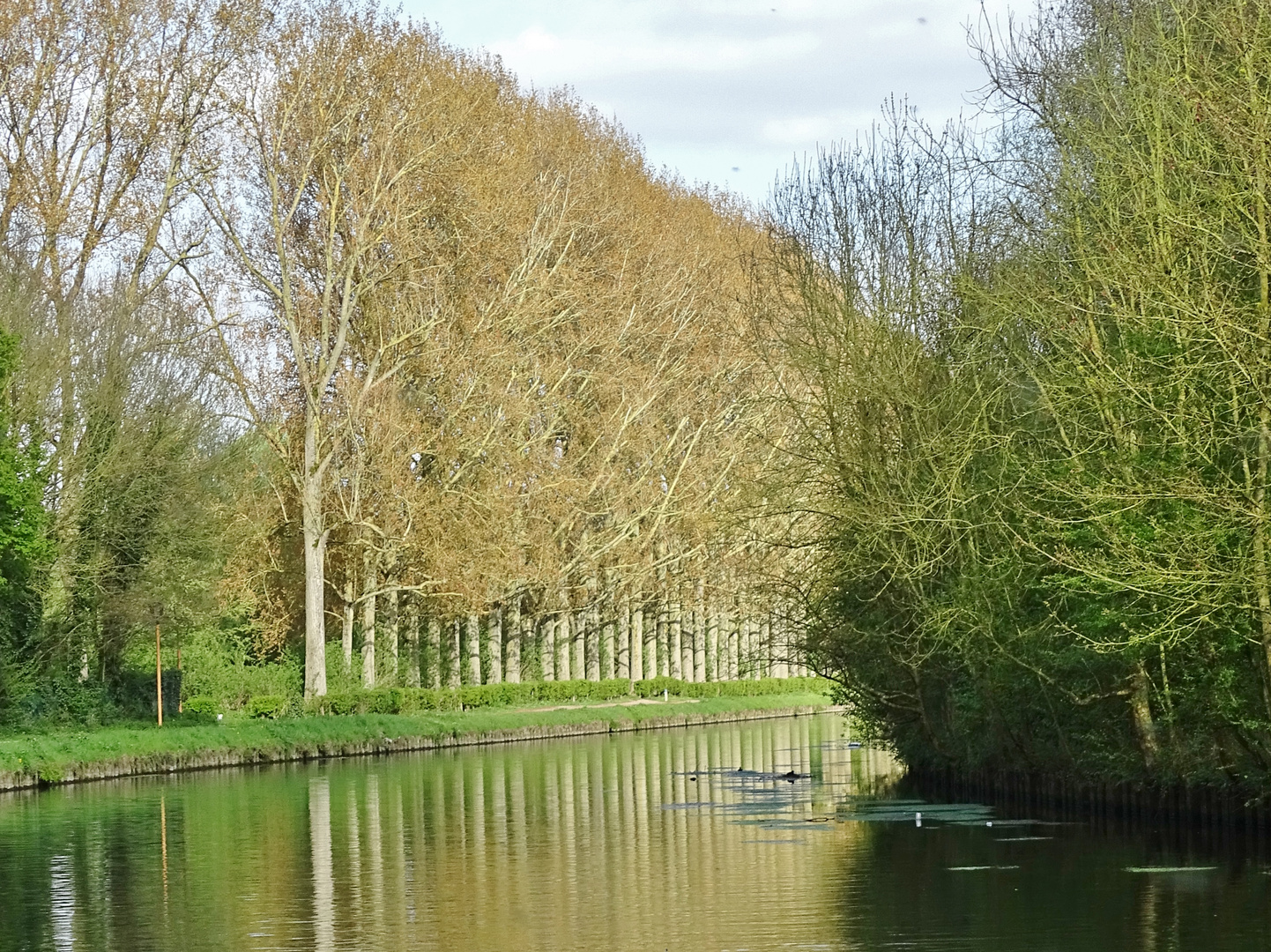 Berges de la Scarpe