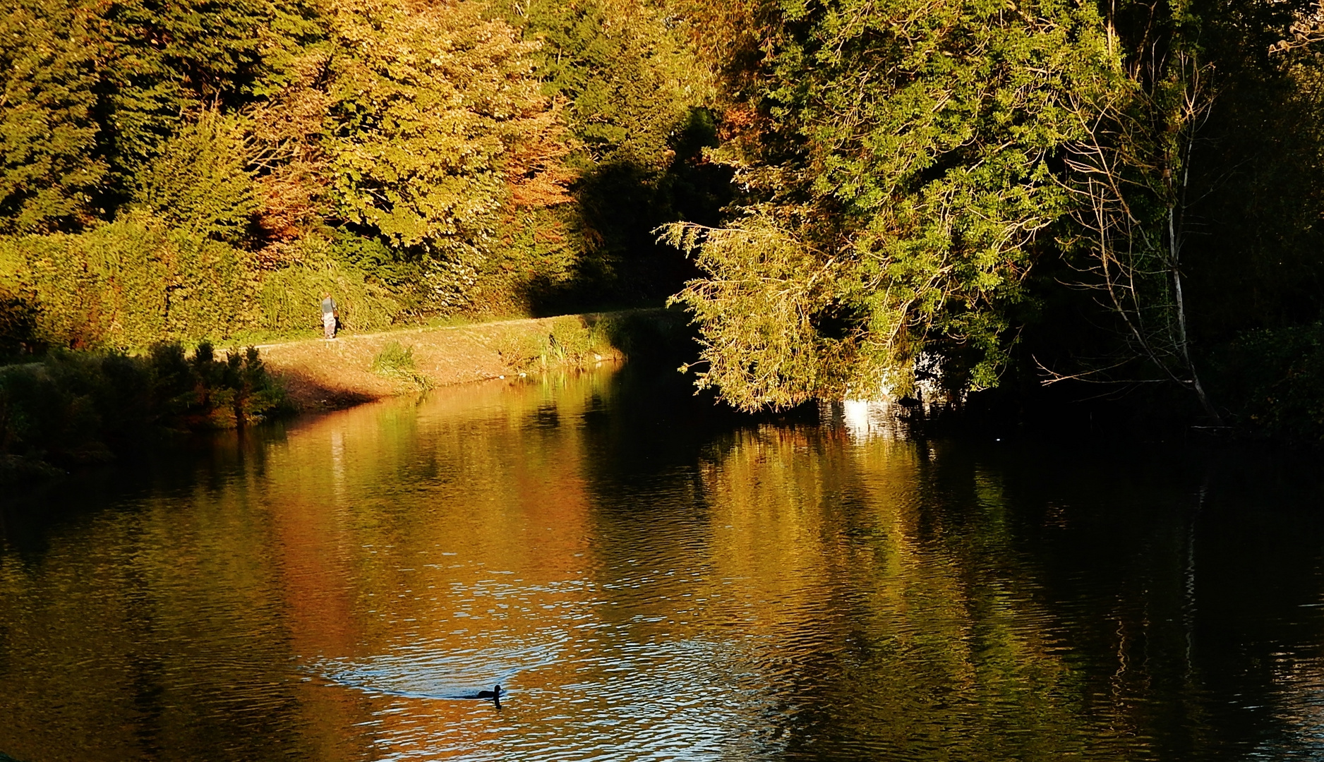 Berges de la Scarpe à Arras