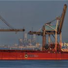 BERGESTAHL / Bulk Carrier / Rotterdam