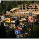 Bergfahrt entlang der Hänge Darjeelings II