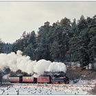 Bergfahrt nach Harzgerode