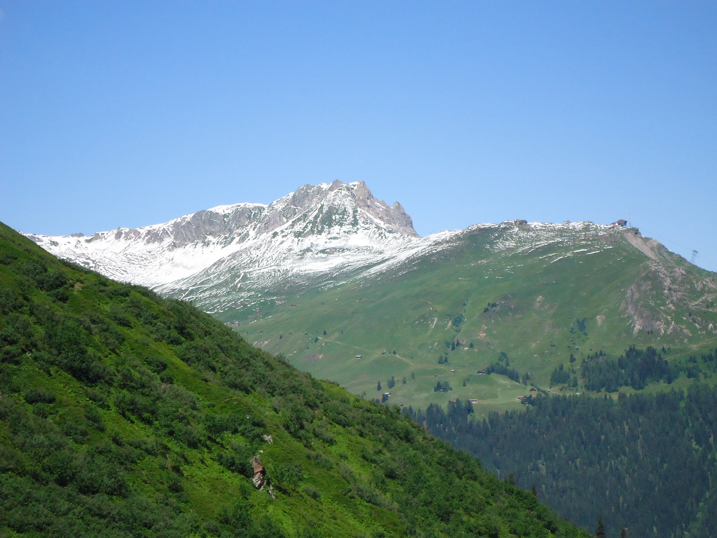 Bergfarbenes Dreierlei