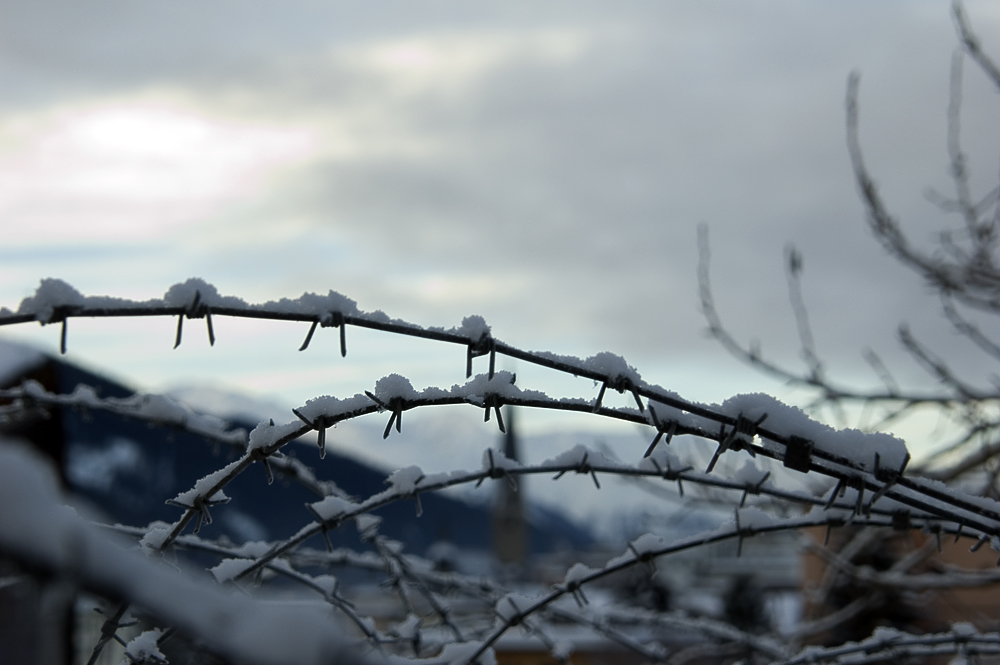 Bergfestung Davos