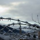 Bergfestung Davos