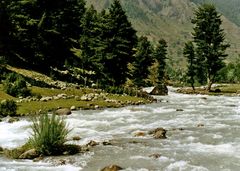 Bergfluss bei Pahalgam, Kashmir