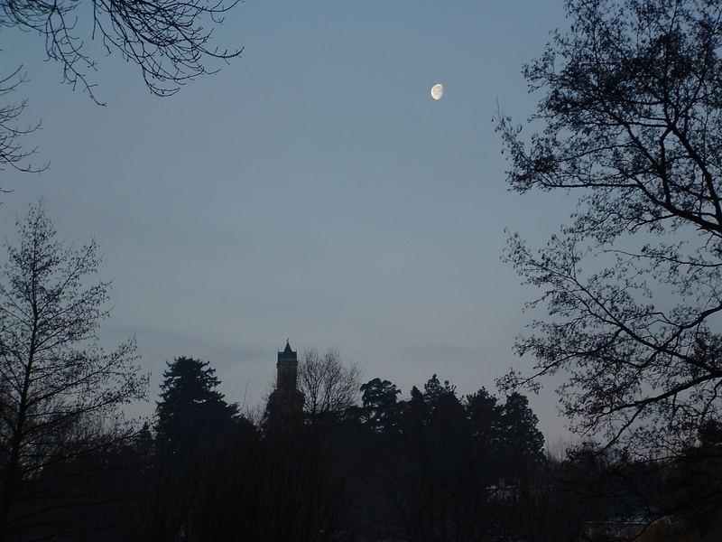 bergfried kronberg