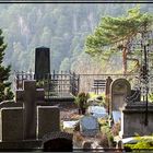 Bergfriedhof Oybin bei Zittau