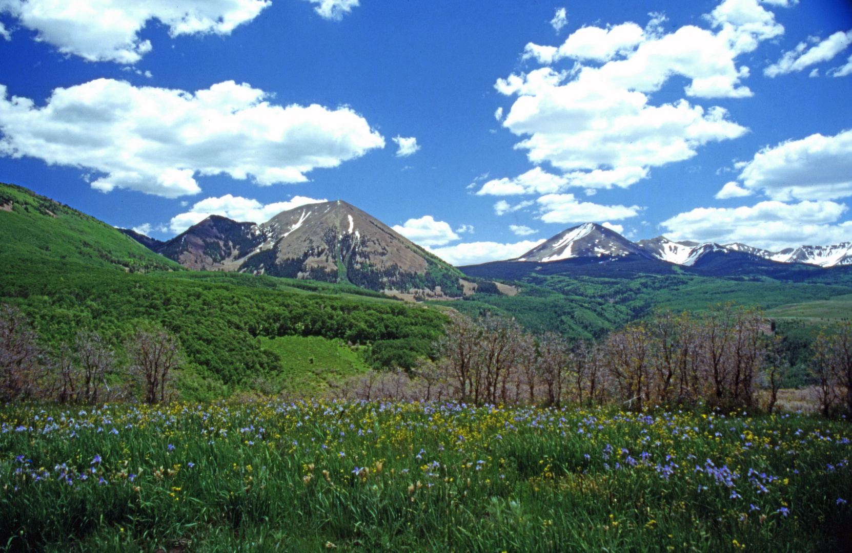 Bergfrühling