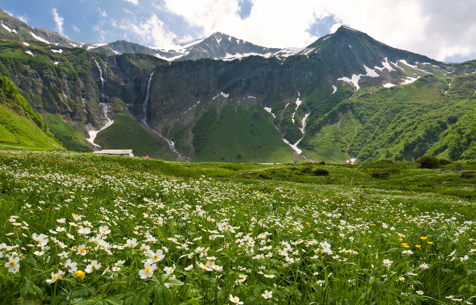 Bergfrühling