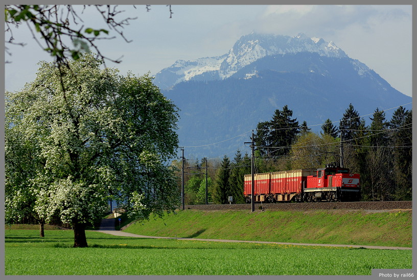 Bergfrühling (1)