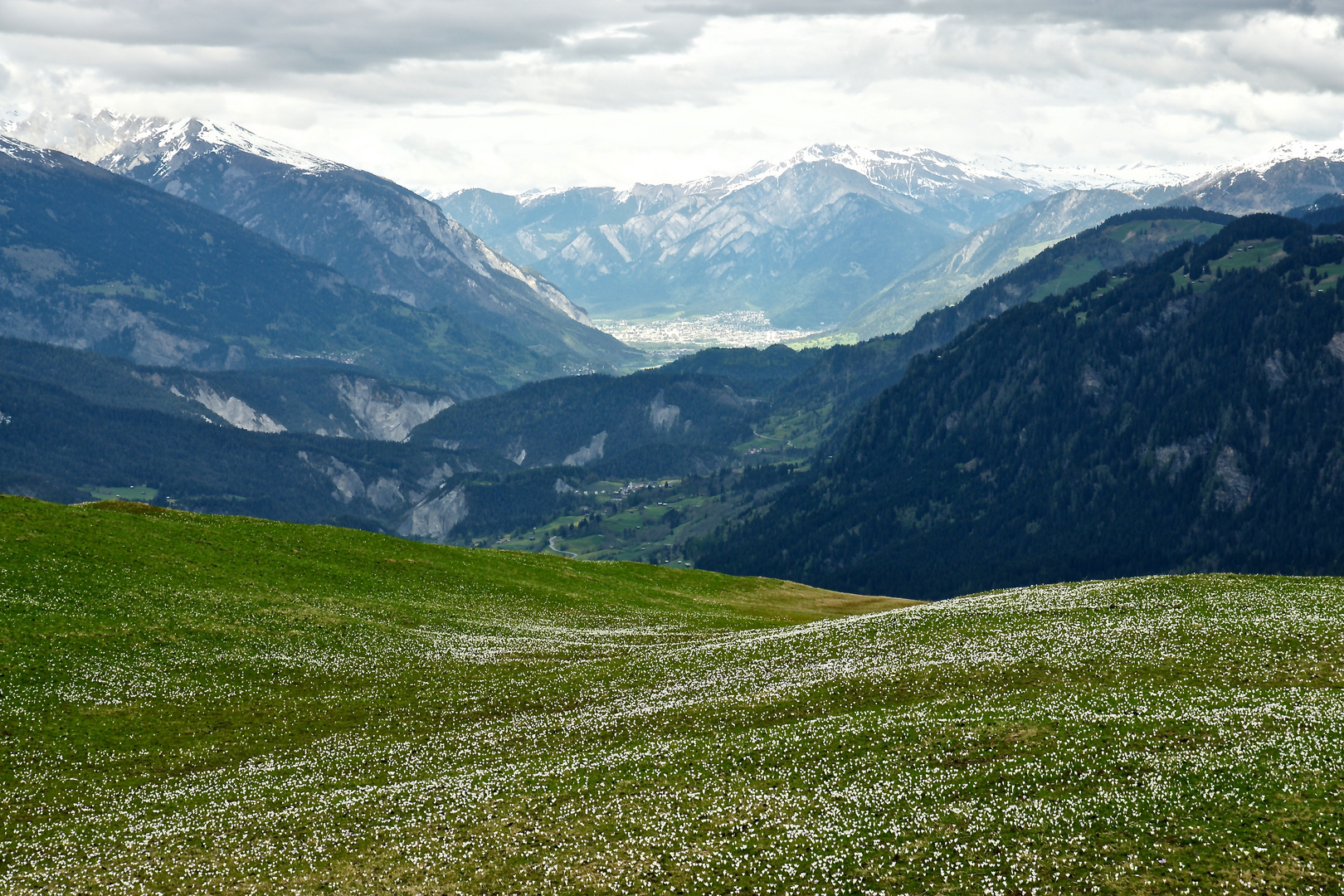 Bergfrühling 1