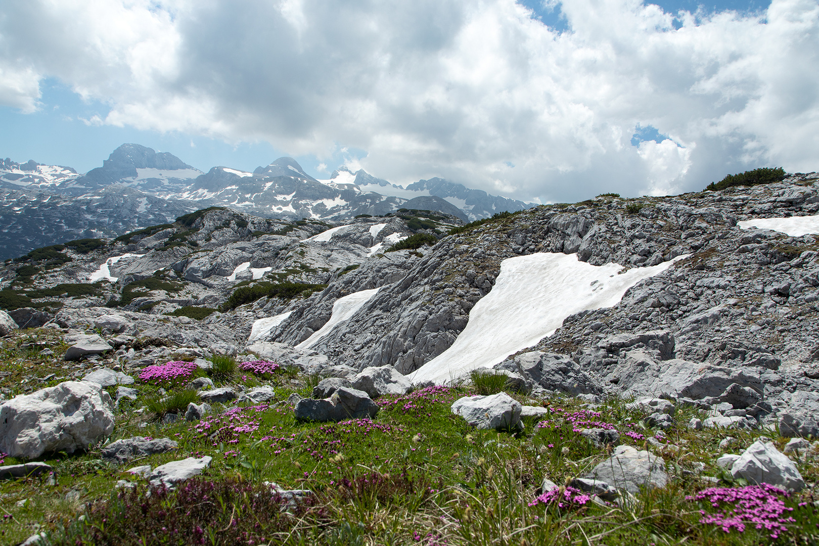 Bergfrühling ... 2