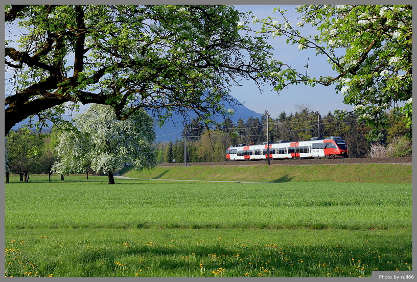 Bergfrühling (2)