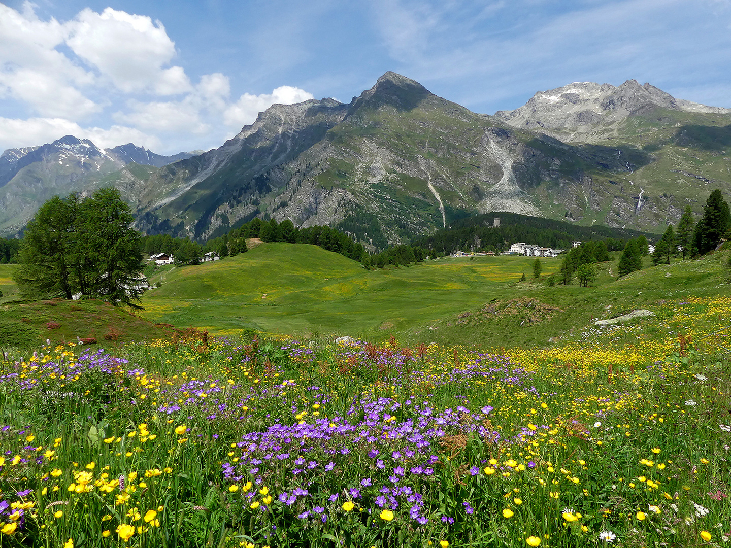 Bergfrühling