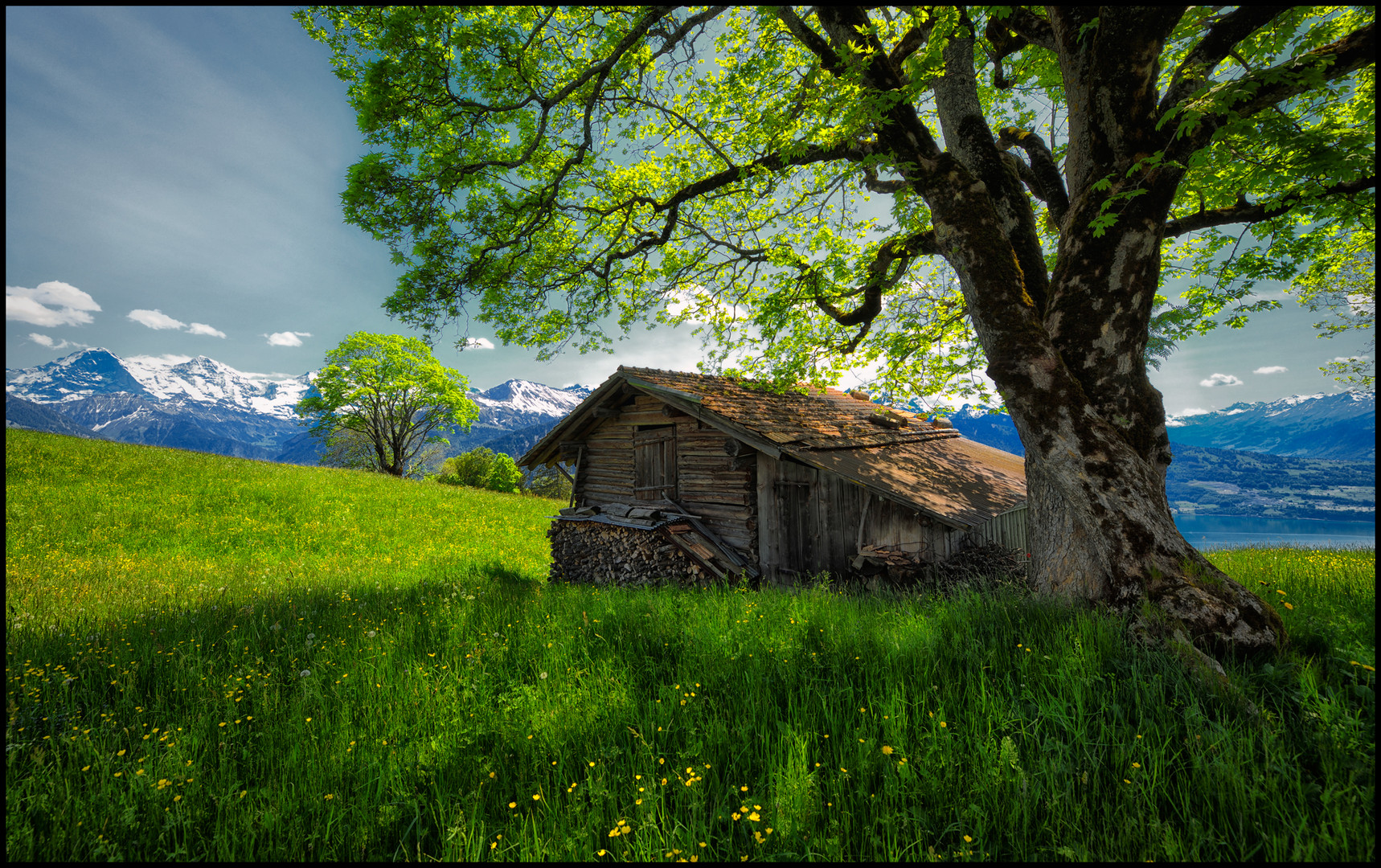 Bergfrühling