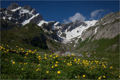 Bergfrühling