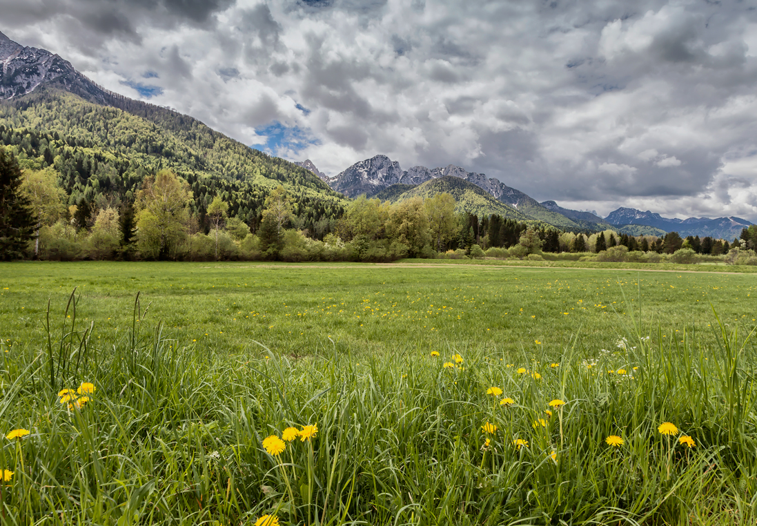 Bergfrühling