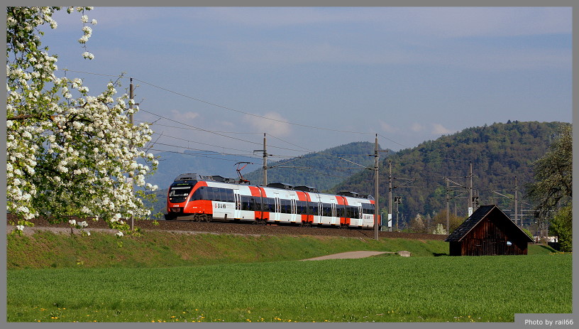 Bergfrühling (4)