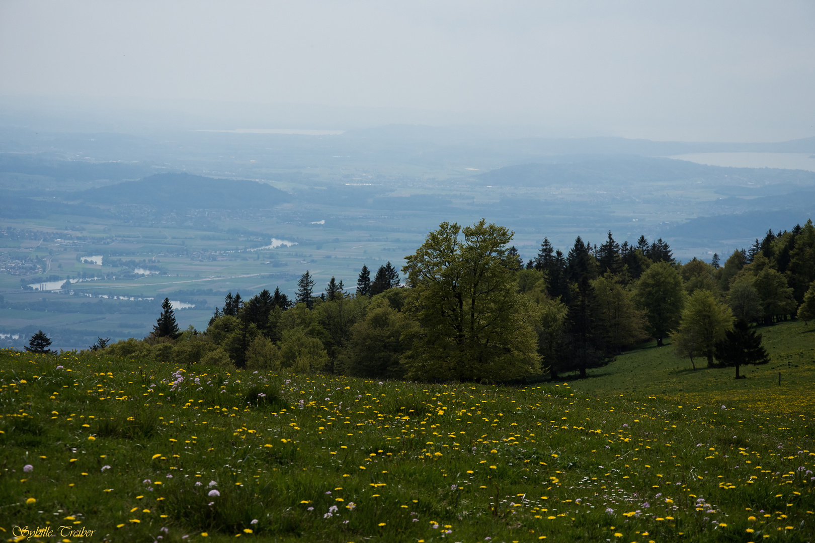 Bergfrühling