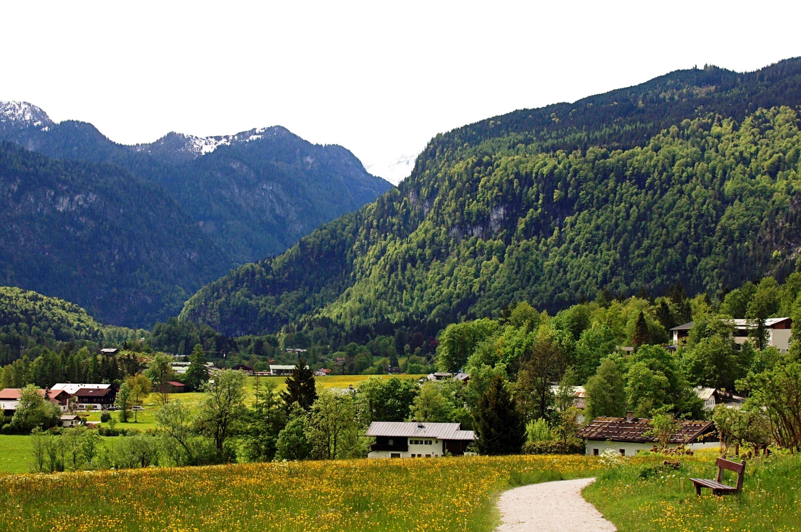 Bergfrühling