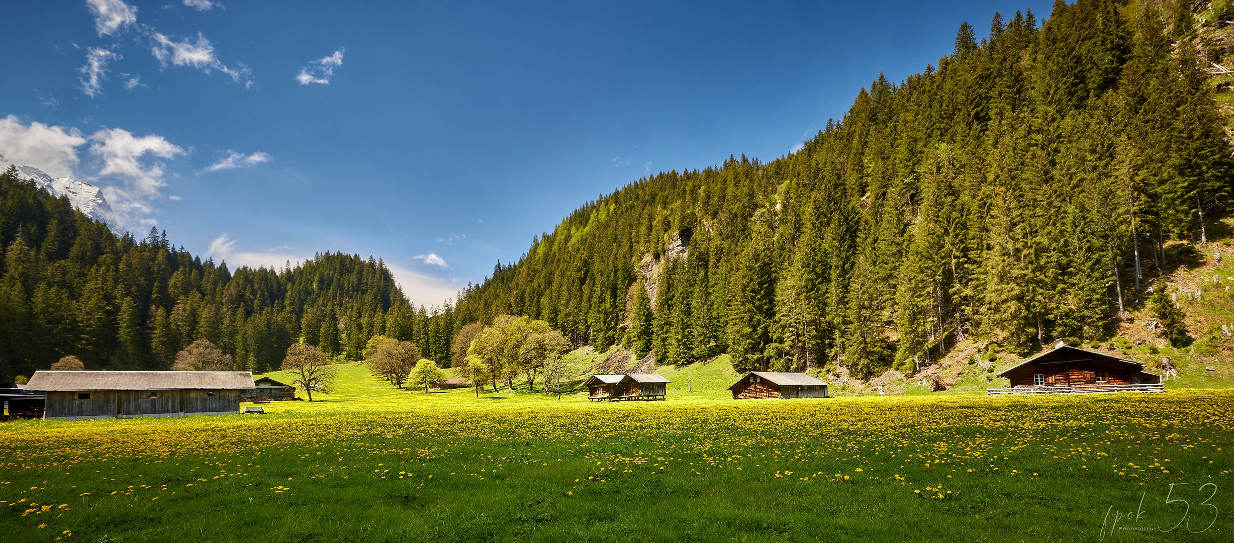 Bergfrühling