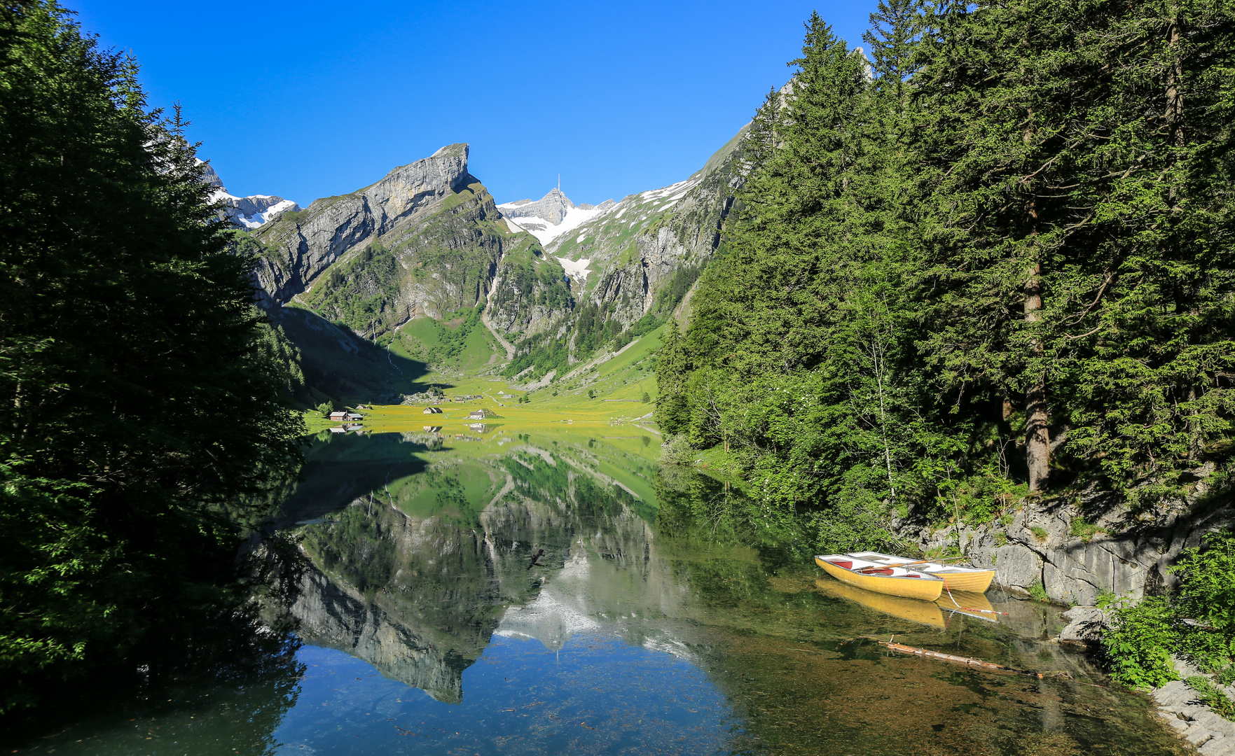 Bergfrühling