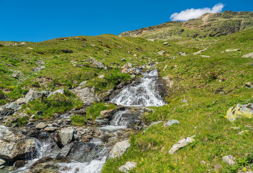 Bergfrühling am Bernina