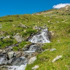 Bergfrühling am Bernina