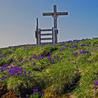 Bergfrühling am Kalser Törl, Hohe Tauern