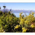 Bergfrühling am Meer