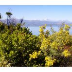 Bergfrühling am Meer