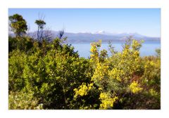 Bergfrühling am Meer