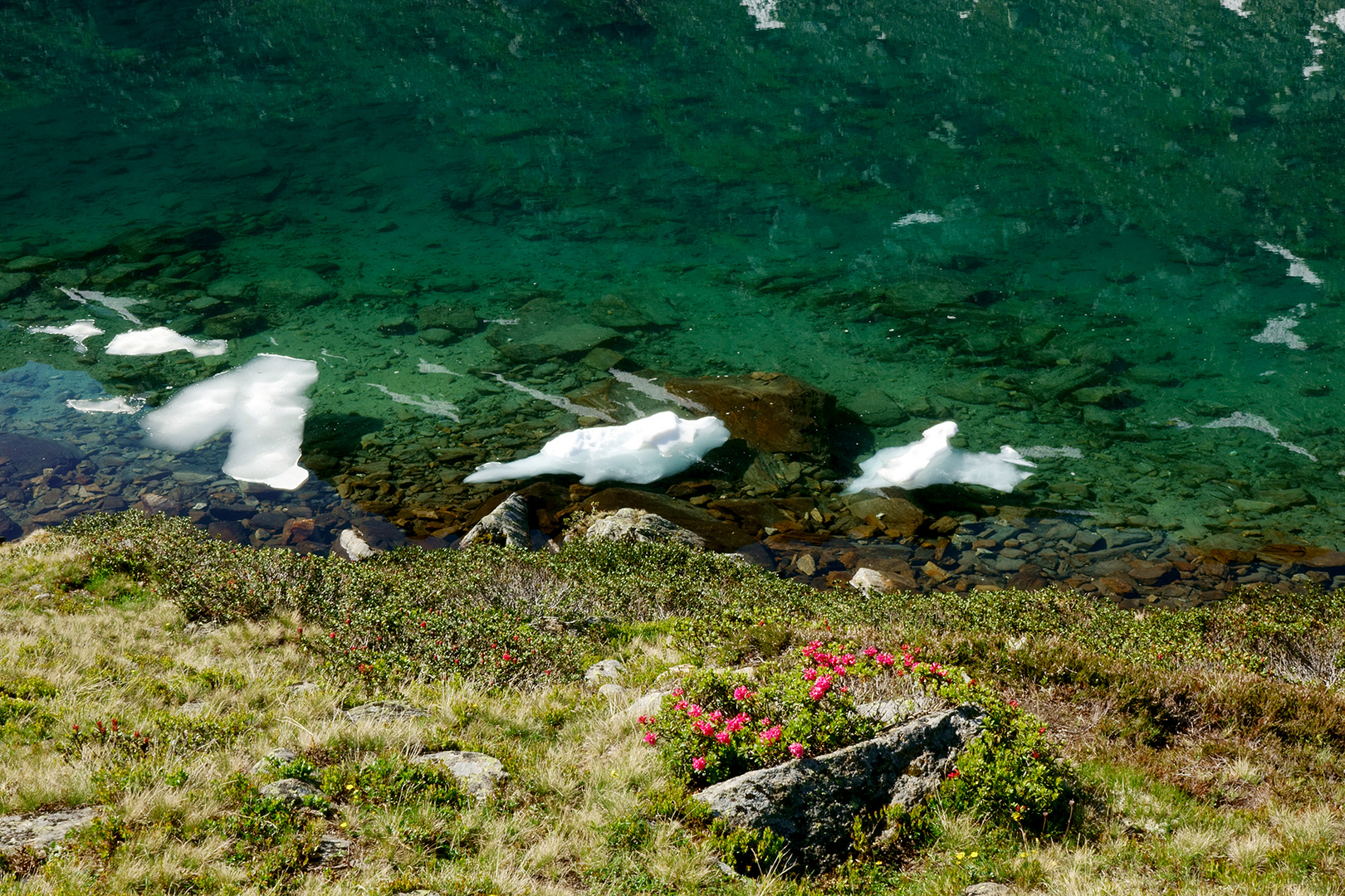 Bergfrühling am mittleren Plenderlesee