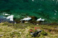 Bergfrühling am mittleren Plenderlesee