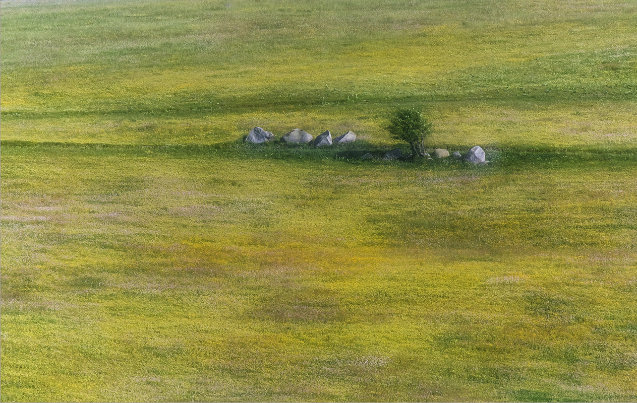 bergfrühling an der route des cretes