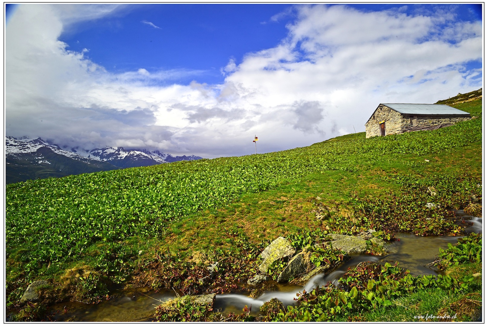 Bergfrühling