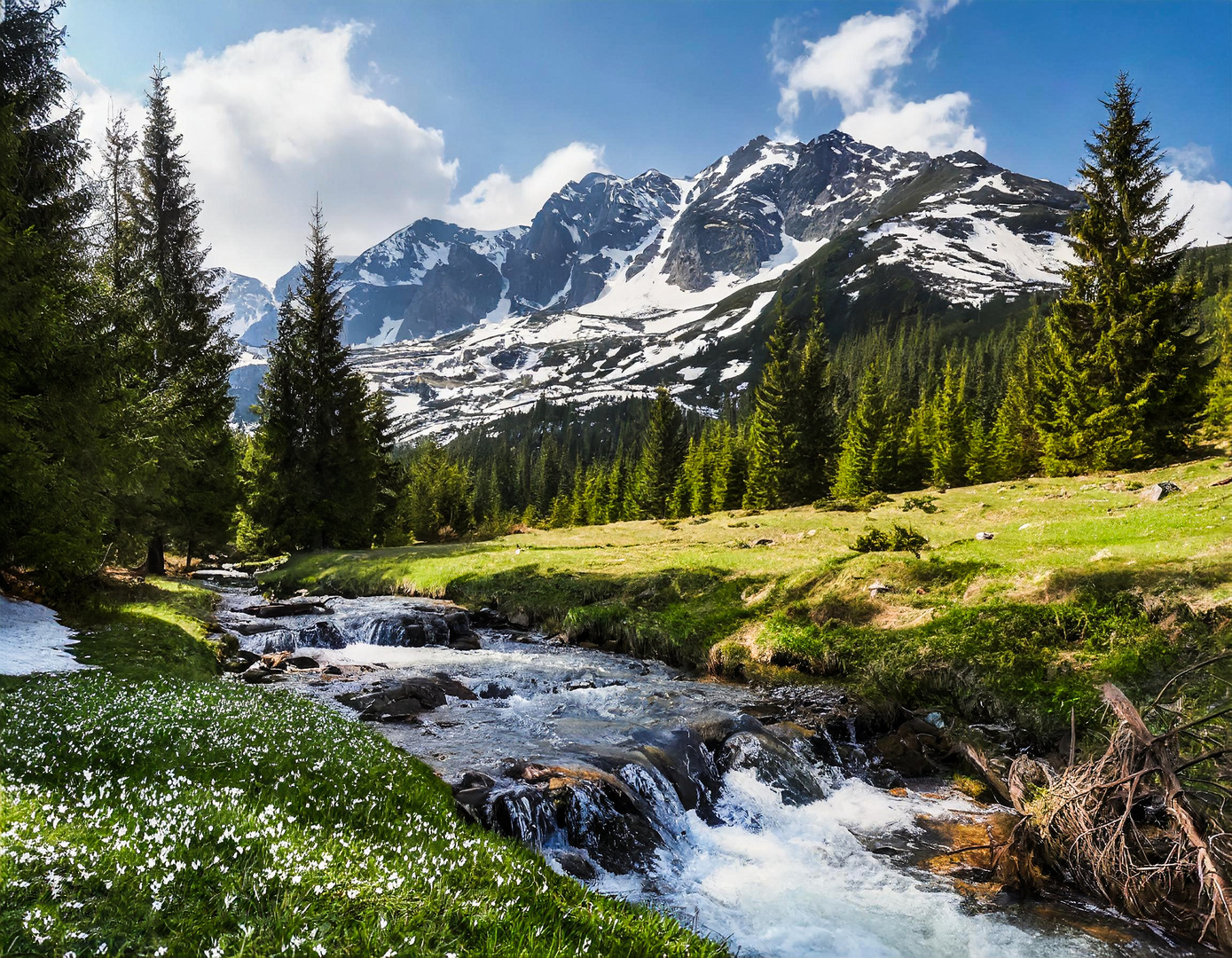 Bergfrühling