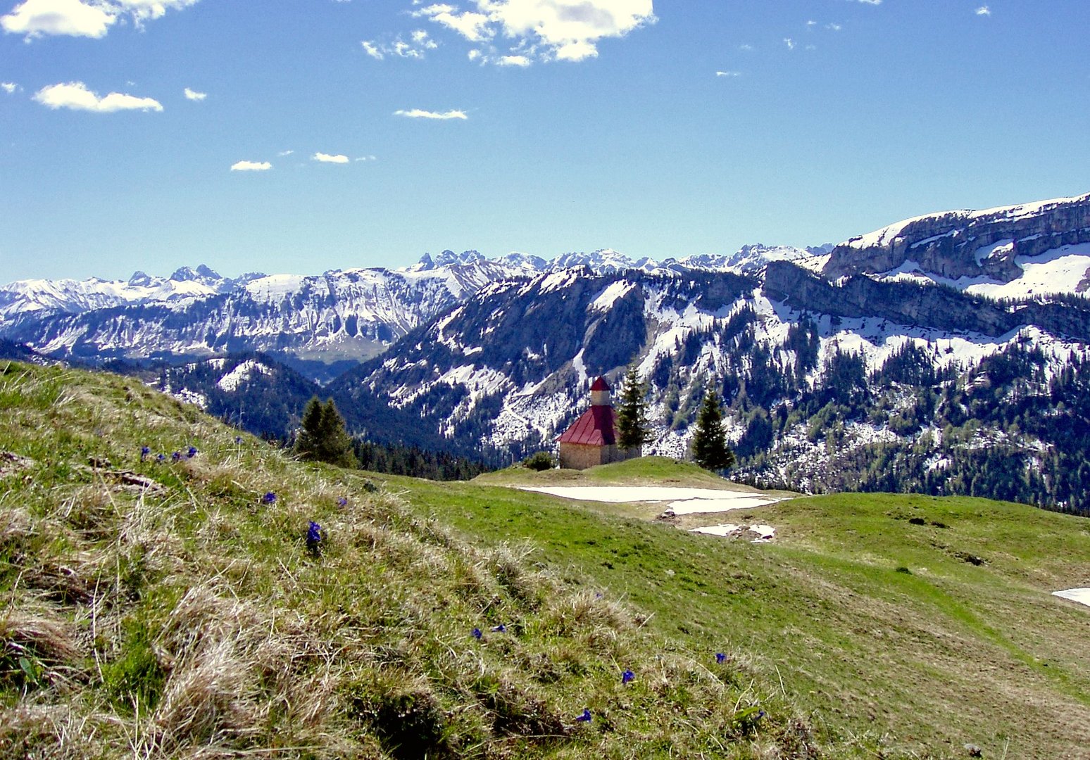 Bergfrühling