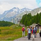 Bergfrühling im Maloja-Gebiet ..